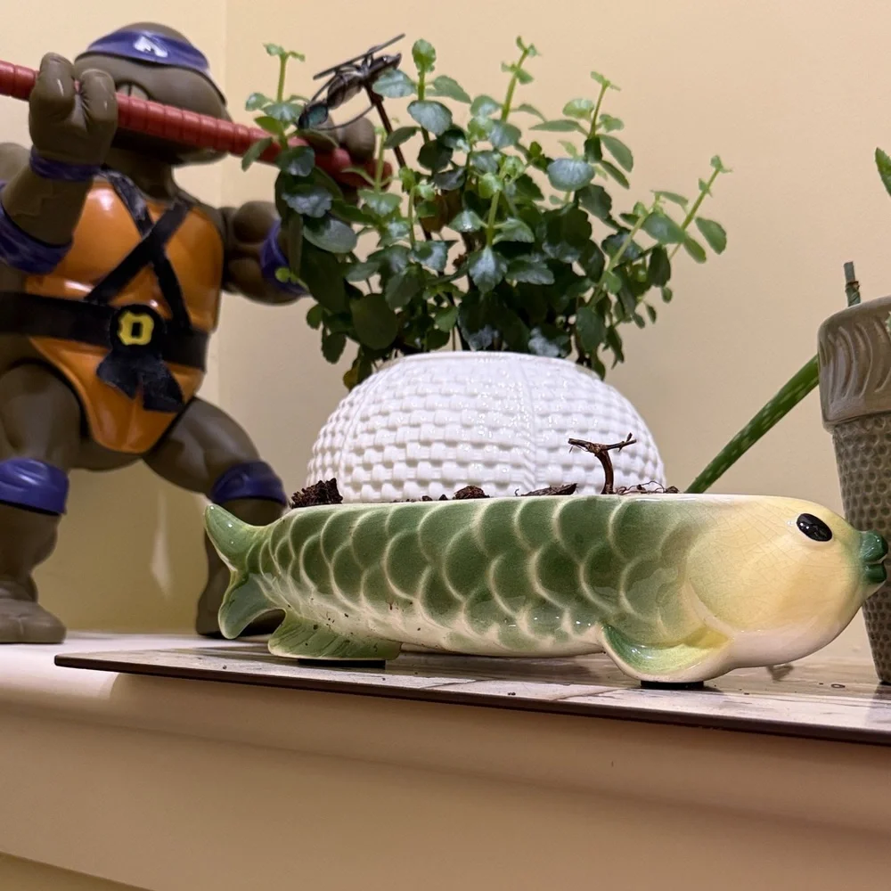Green and White Fish-Shaped Ceramic Planter